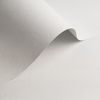 gekleurd papier Olin Colours Brilliant White 170g 450x640mm ingeriemd FSC®