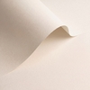 papier Olin Origins for HP Indigo Chalk 120g 320x460mm ingeriemd FSC®