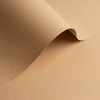 gekleurd papier Olin Colours Fawn 120g 450x640mm ingeriemd FSC®