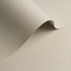 gekleurd papier Olin Colours Grey 240g 700x1000mm ingeriemd FSC®