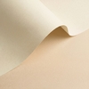 gekleurd papier Olin Colours Ivory 320g 450x640mm ingeriemd FSC®