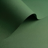 gekleurd papier Olin Colours Jungle Green 170g 700x1000mm ingeriemd FSC®