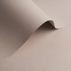papier Olin Origins Pebble 320g 700x1000mm ingeriemd FSC®