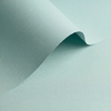 gekleurd papier Olin Colours Storm Grey 170g 700x1000mm ingeriemd FSC®